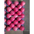 Shandong Fresh Red Fuji Apple-stripe